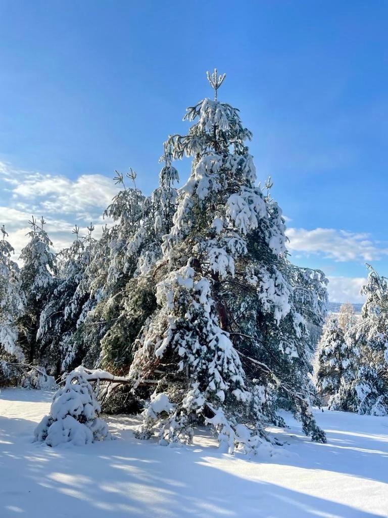 Jurkowa Wola Daire Jureczkowa Dış mekan fotoğraf